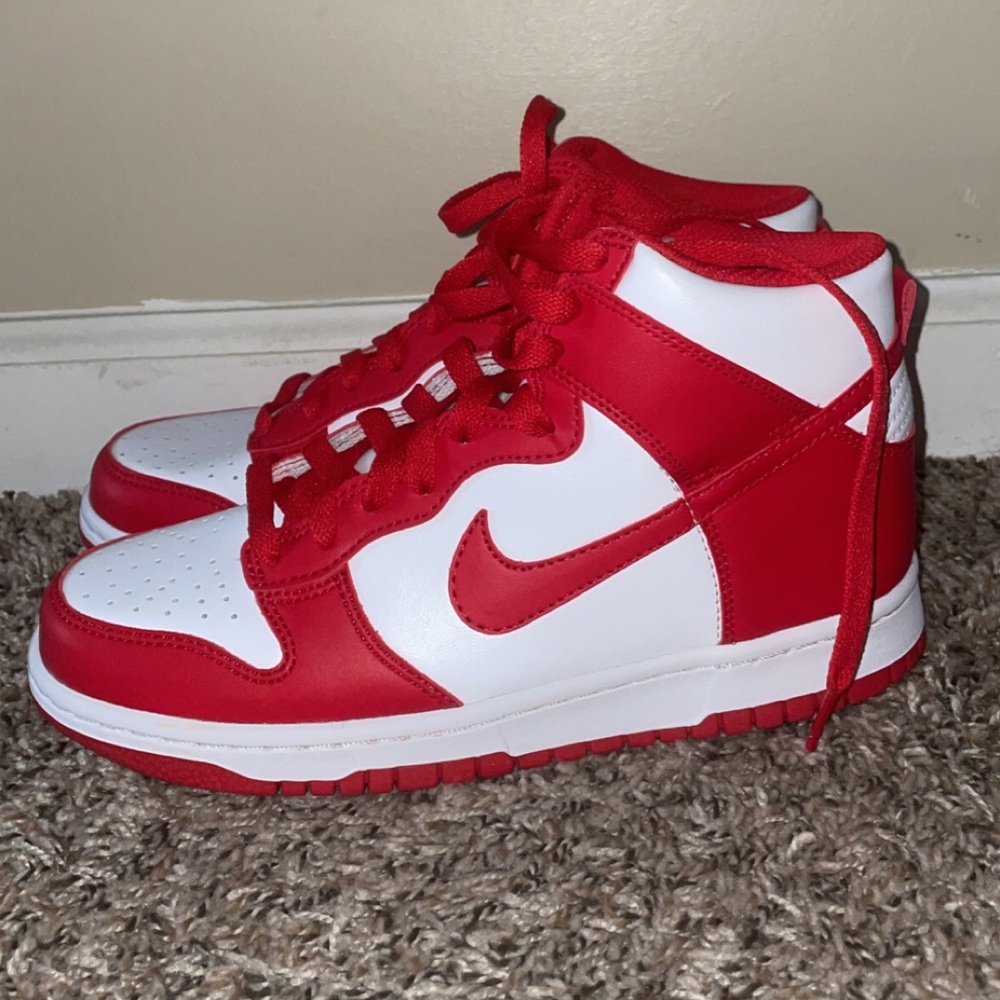 Red Nike Dunk (high)
